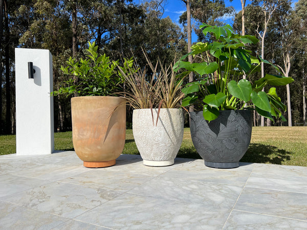 Pots with plant glider with omni wheels.