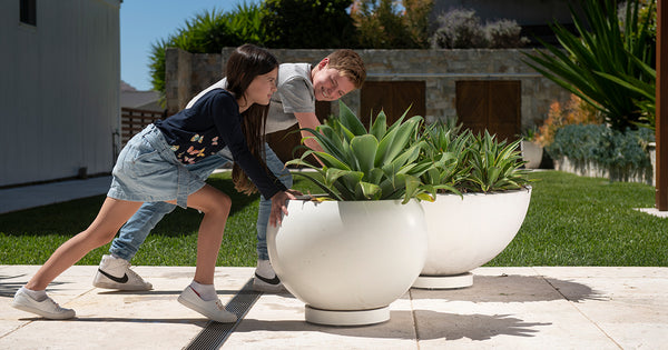 Kids pushing pots with plant glider with omni wheels.