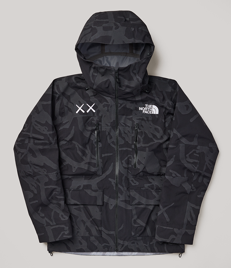 Kaws X The North Face Nuptse Jacket-