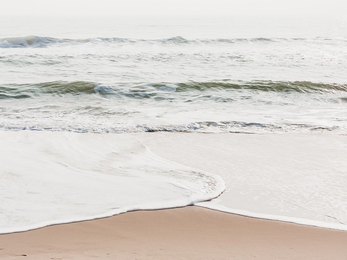 Sandy beach and the ocean