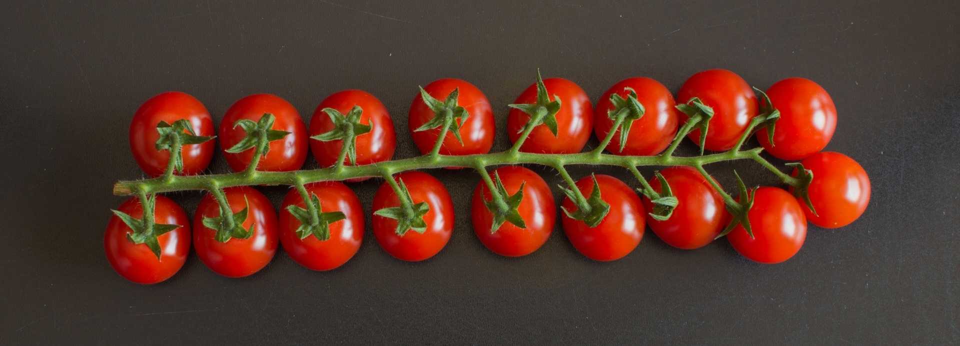 Valgri Italian Imported Cherry Tomatoes Wholesale