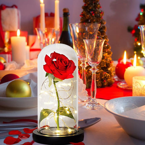 Dôme féerique avec guirlande lumineuse en LED, rose éternelle de galaxie  enchantée, feuille d'or 24K, fleur, pour noël, cadeau de Saint-valentin -  Kevajo