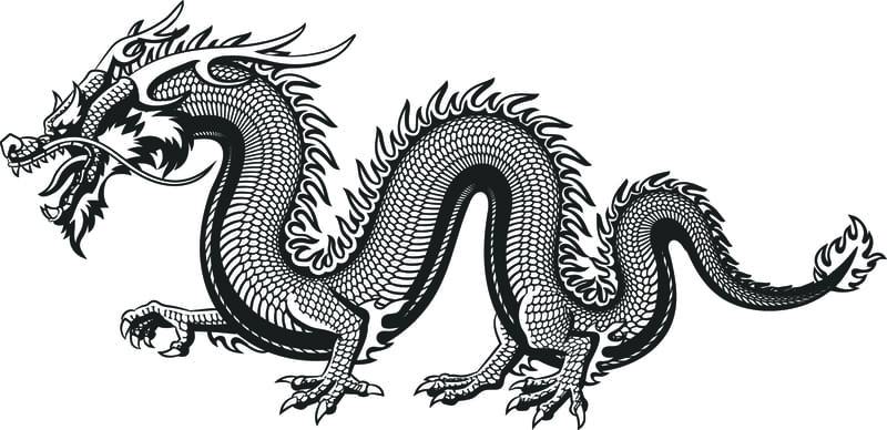 chinese dragon pictures