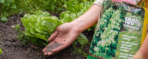 Ecostyle moestuinmest | Bouwhof