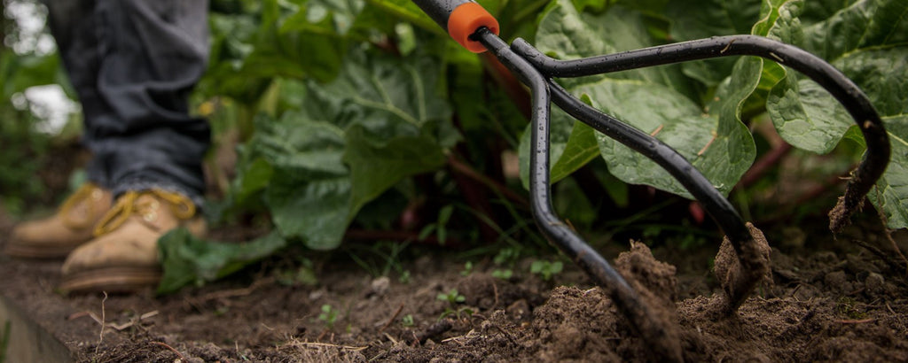 Noodzakelijk tuingereedschap voor jouw tuinonderhoud! | Bouwhof