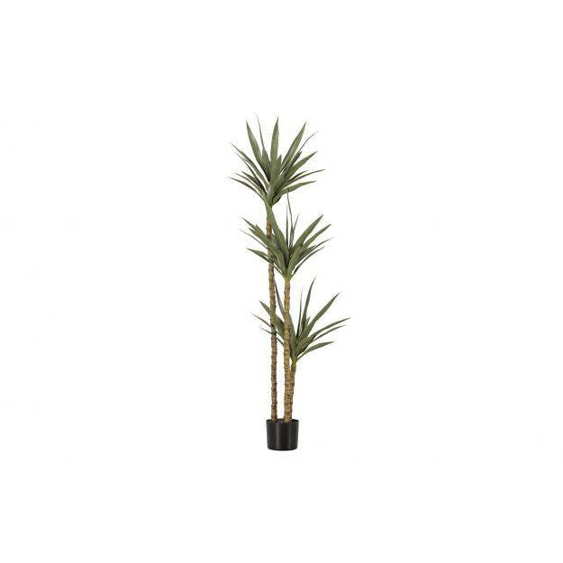roem Het begin Bewustzijn WOOOD Yucca kunstplant groen 155cm | Bouwhof