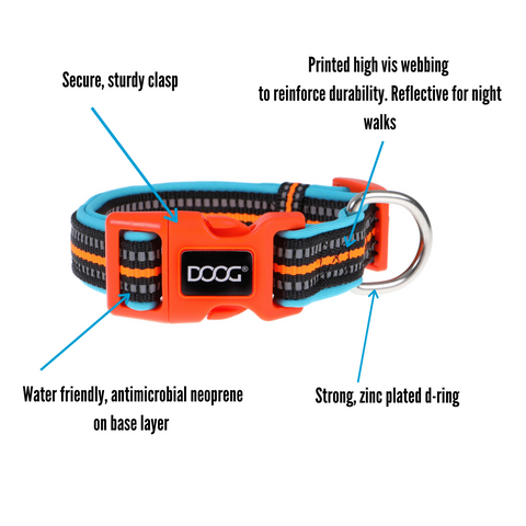 Neoprene Dog Collar - RIN TIN TIN (NEON) – DOOGUSA