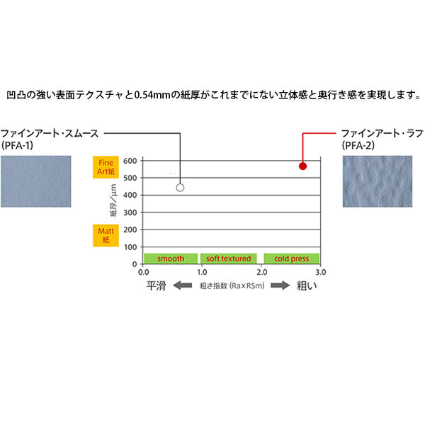 Canon 4562C003 プレミアムファインアート・ラフ A3 25枚 FA-RG1A325