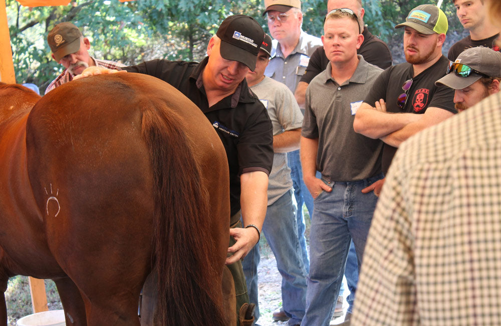 Our annual Open House is the largest annual farrier event in Tennessee.