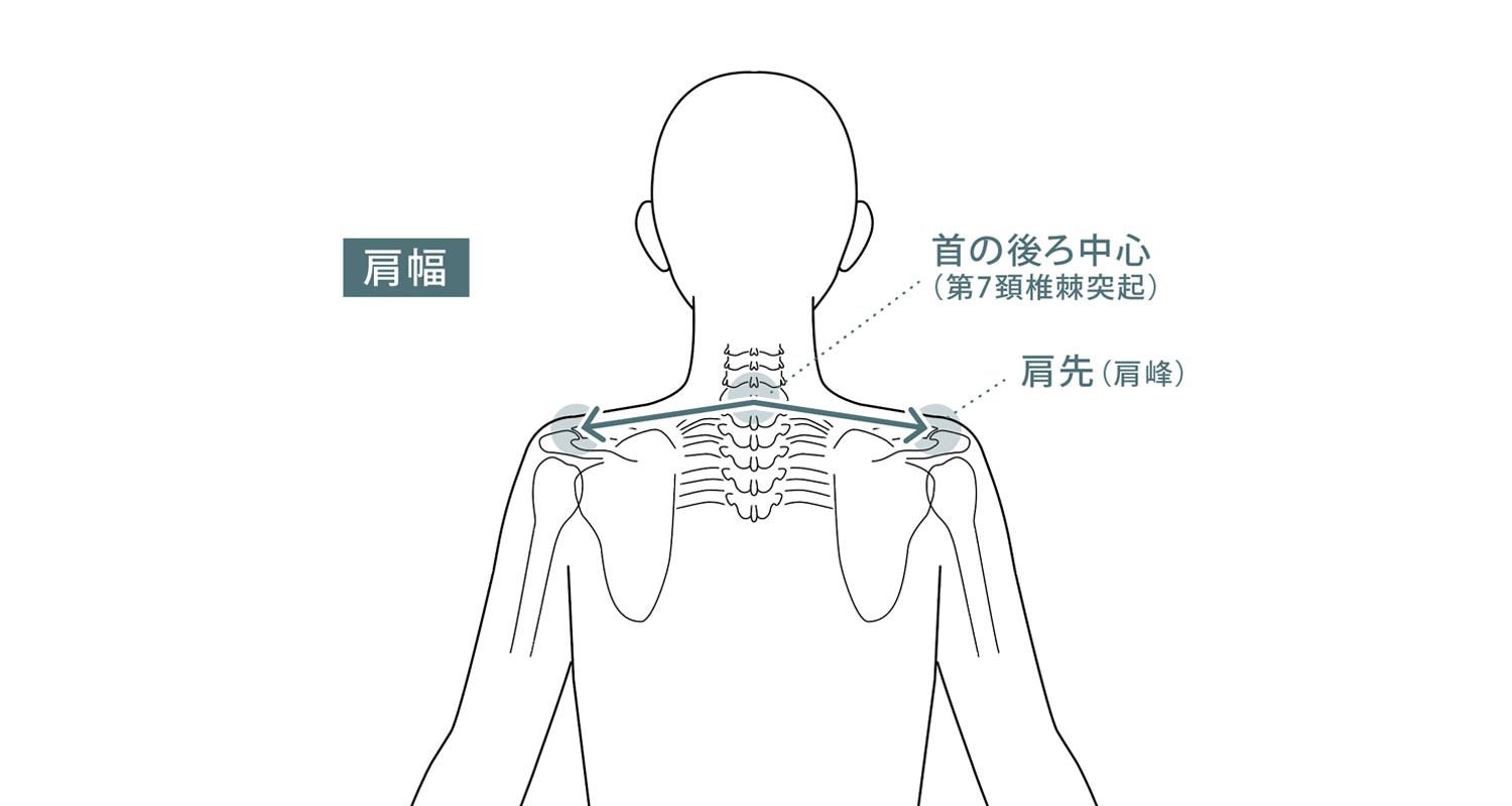 肩幅の計り方を示したイラスト