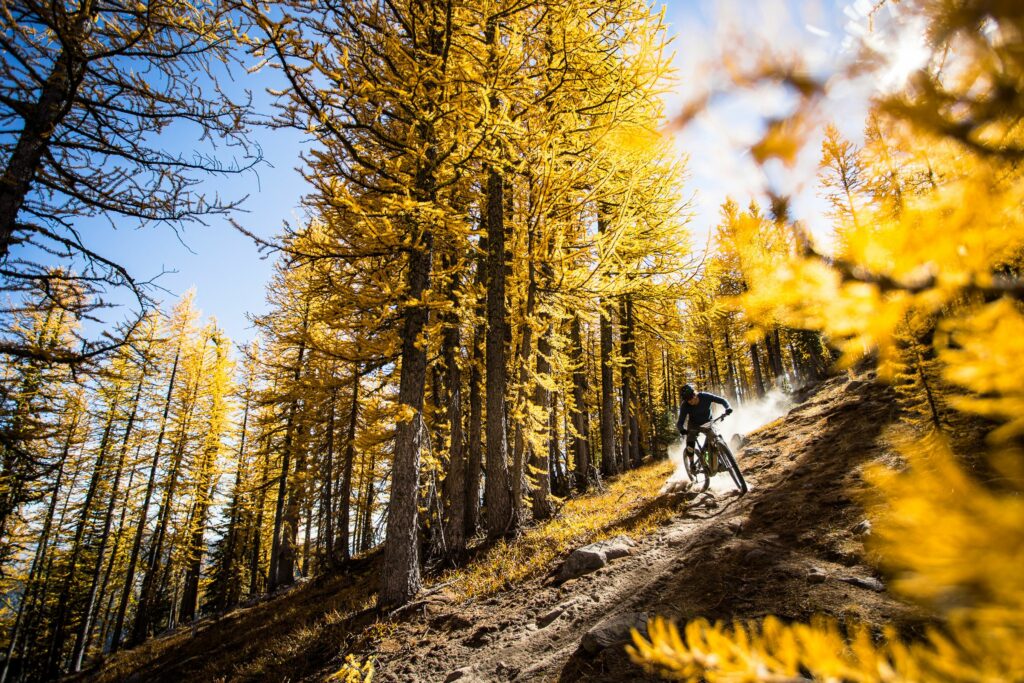 A racer descends in golden light. 