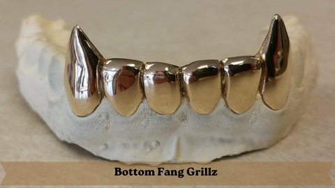 Bottom Fang grillz For Teeth | Grillz Godz 