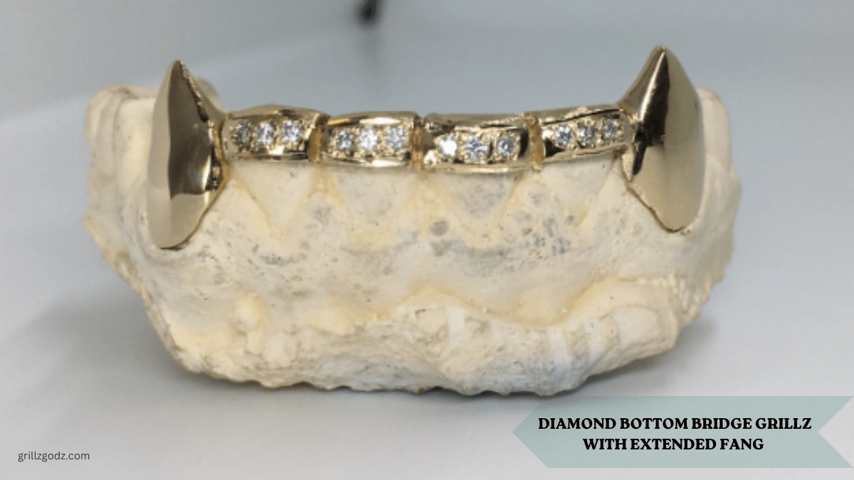 Diamond Bottom Bridge Grillz with extended fang for Teeth | Grillz Godz