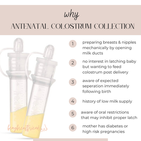 why to collect colostrum