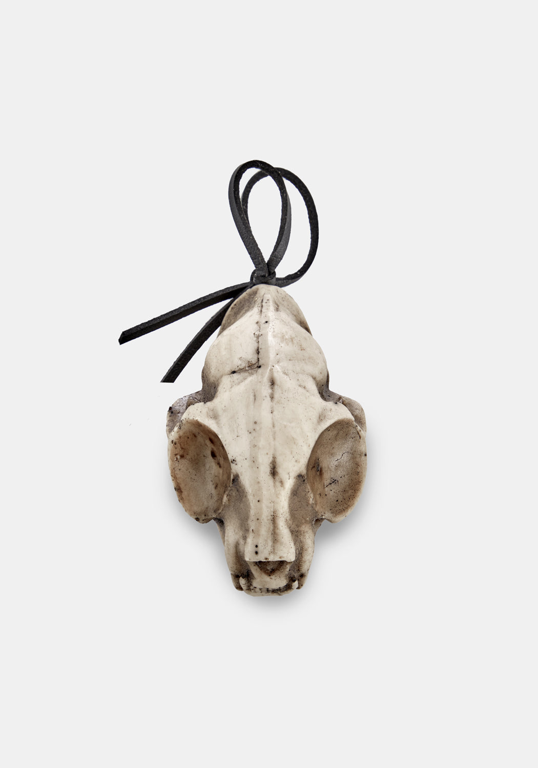 Cat Skull Offering