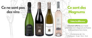 Magnums Nouvel An 2022 - Champagne - Rouge - Blanc - Rosé | MON CAVISTE Vins Bio et Naturels - www.mon-caviste.net
