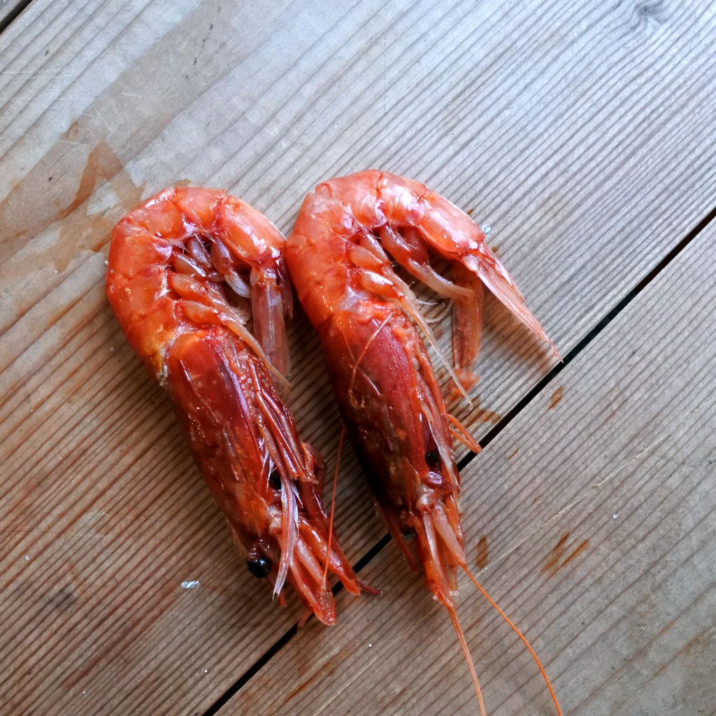 Argentine prawns | Prawns | Seafood Delivery Colchester Oyster Fishery