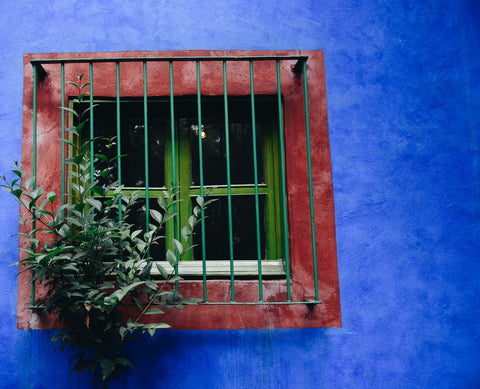 Window surrounded by shrubbery at Frida Kahlo's childhood home