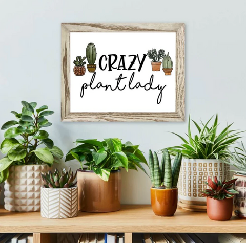 Crazy plant lady steel print