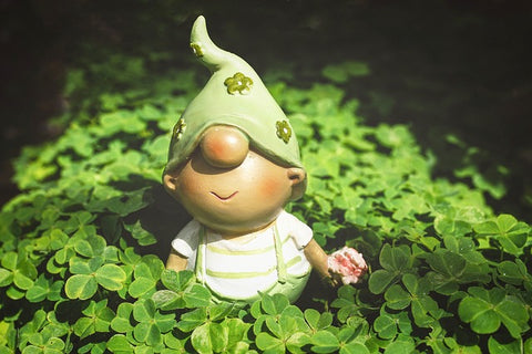 Garden gnome surrounded by clovers