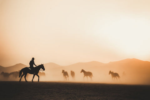 Silhouette of cowboy riding a horse in the early morning