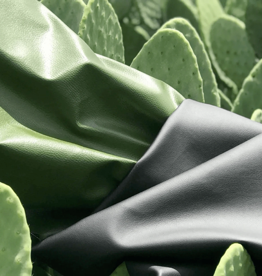 Organic Cactus Leather