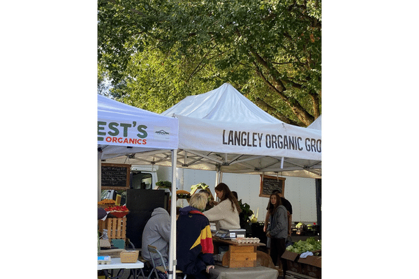 boreal gardens farmers market