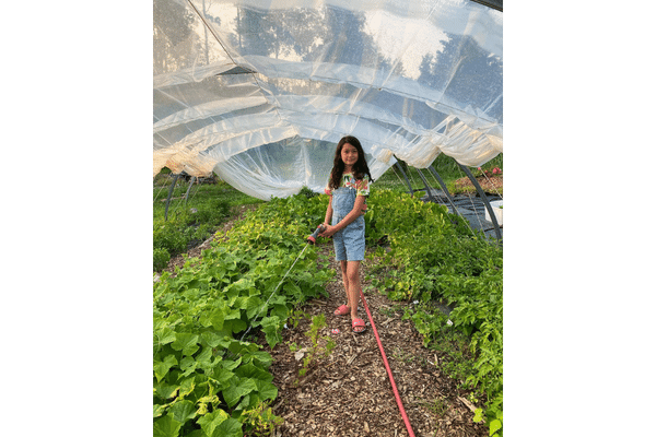 boreal gardens watering produce