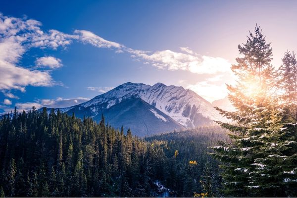 royal travel cold lake alberta mountains