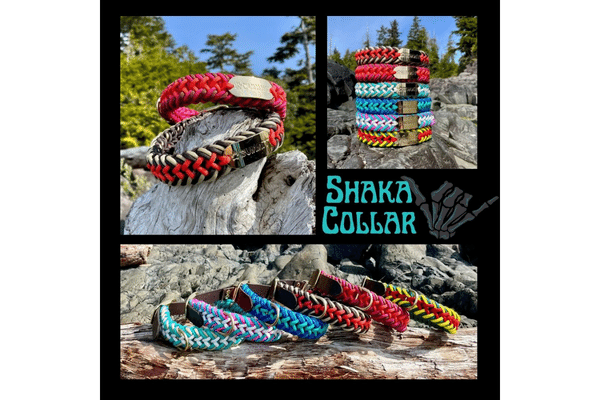 summit dogwear shaka collar