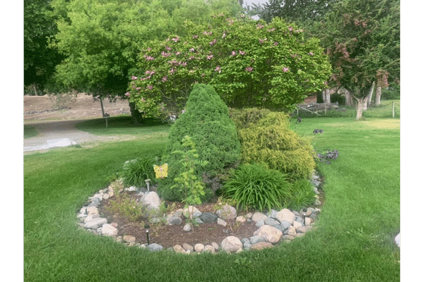 wynndel tree and yard landscaping