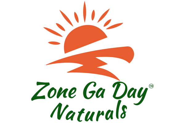 zone ga day logo