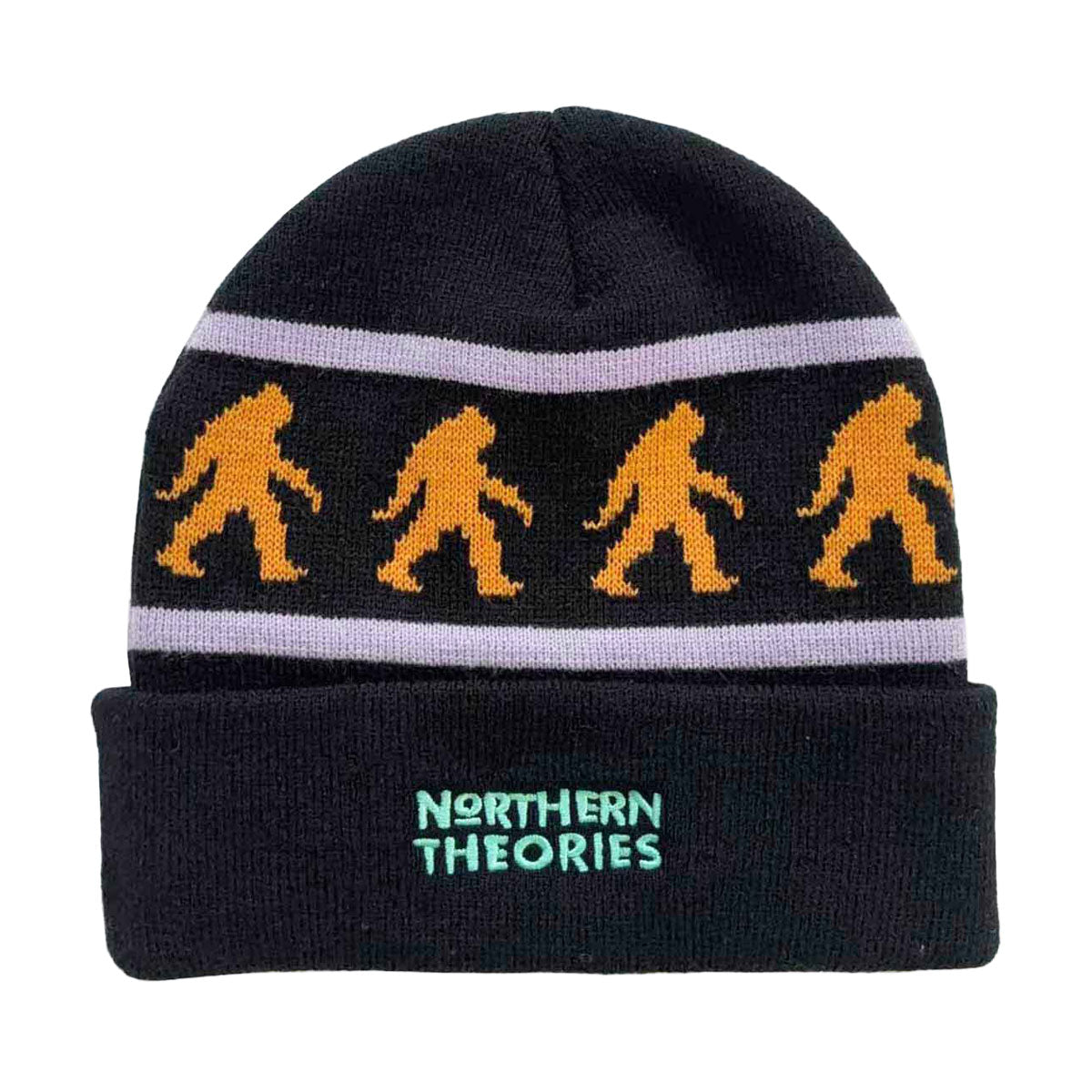 Theories Northern Theories Beanie - Black