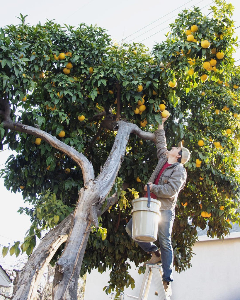 Kyle Hagerty grows food