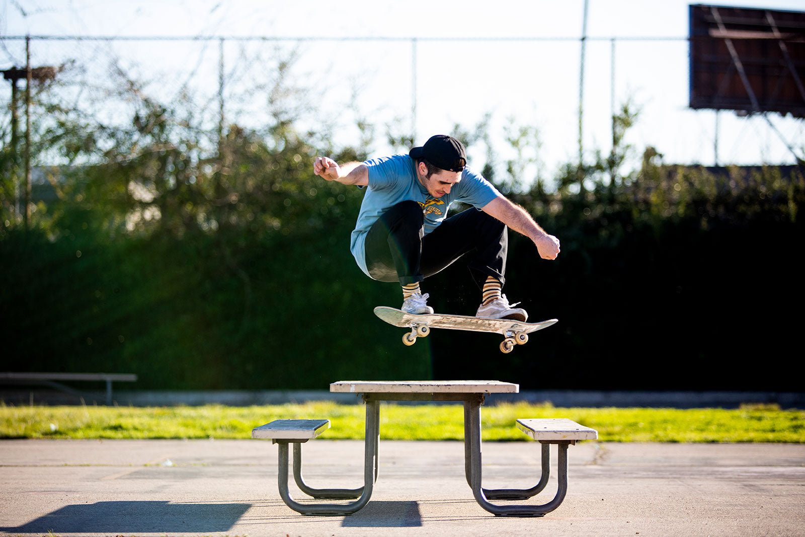 Michael Fota - Ollie