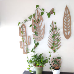 Wall with wooden trellises with pothos vines attached to make a green wall