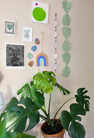 Monstera deliciosa with featured wall