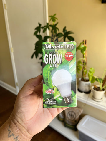 LED grow bulb in it's box