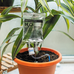 plant life support installed in a houseplant