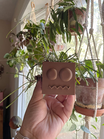 Hoya Retusa houseplant in funny robot planter