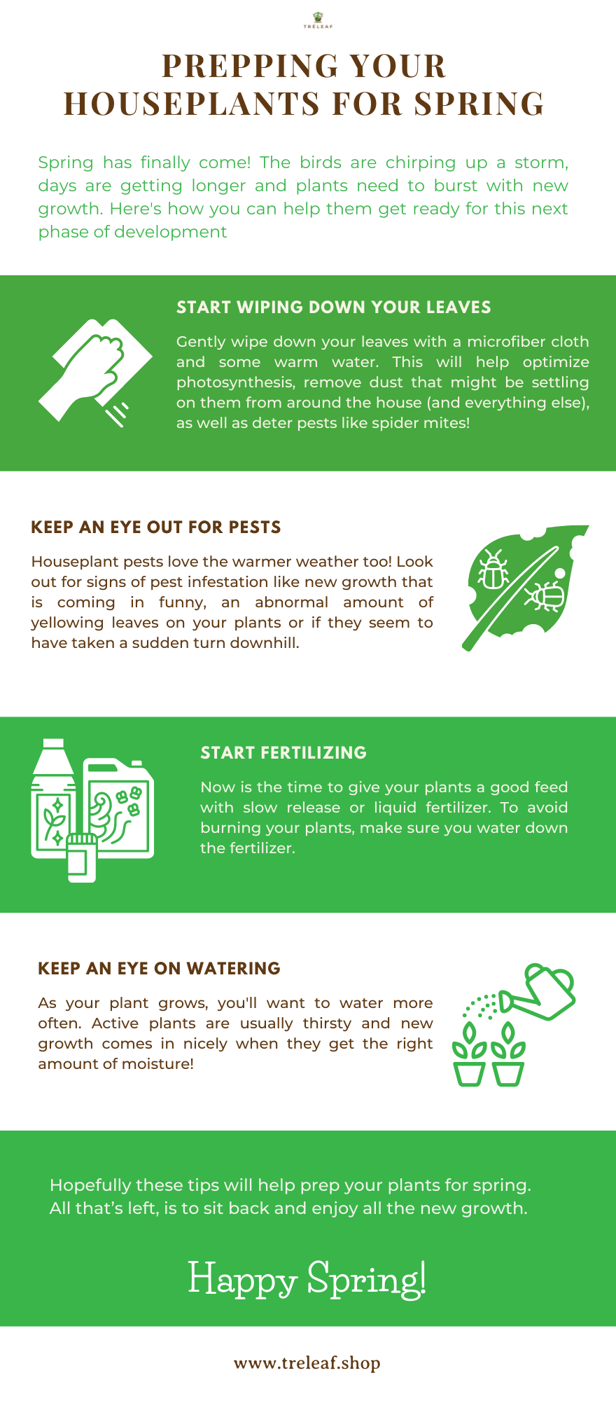 infographic containing tips on how to prepare your houseplants for the spring growing season