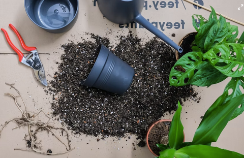 pot and soil