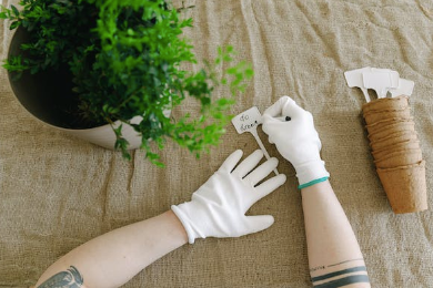 hands labelling a plant