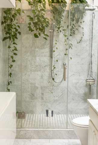 Trailing plants cascading down a shower