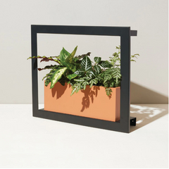 black frame with a rectangular terracotta planter with a number of houseplants