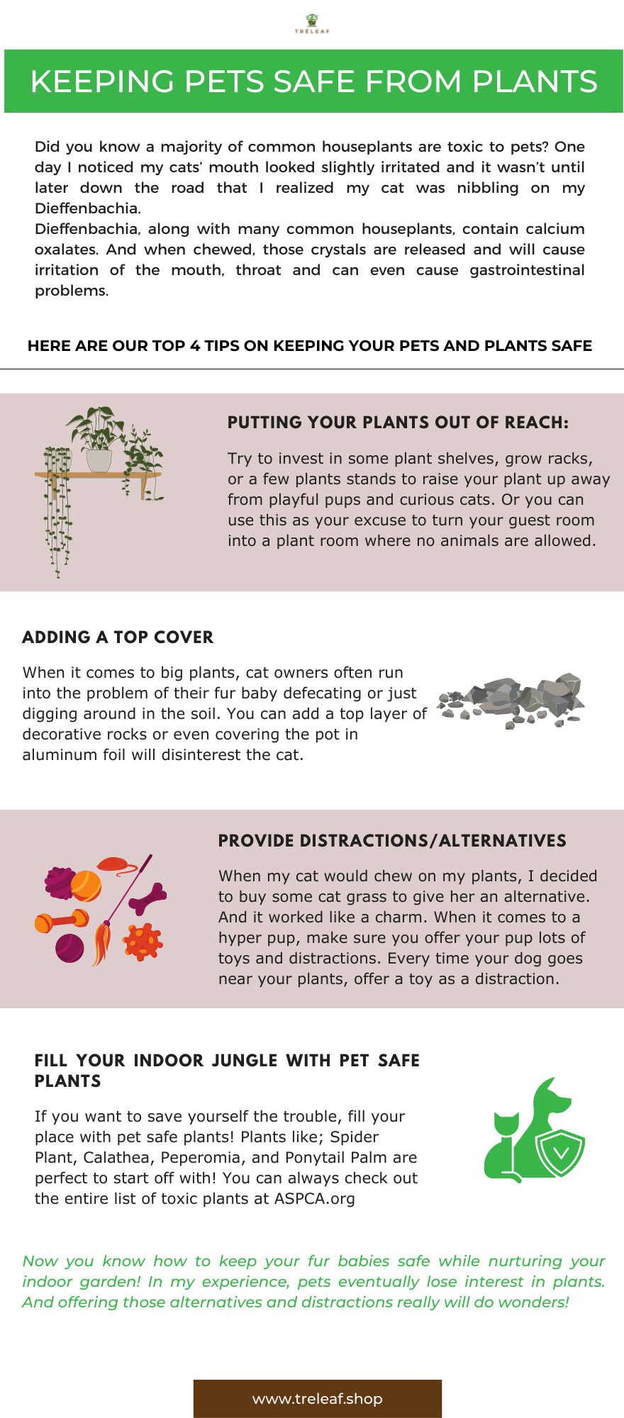 infographic explaining how to keep pets safe from toxic houseplants