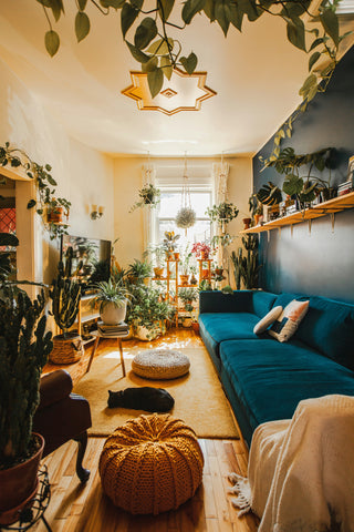 A room filled with plants