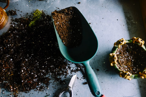 a shovel holding soil