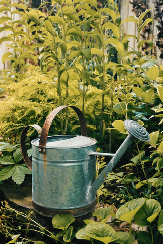 watering can in a garden