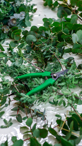 cutting shears on top of plants